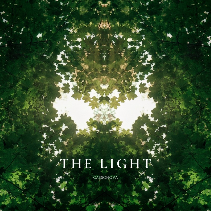 The Light cover art